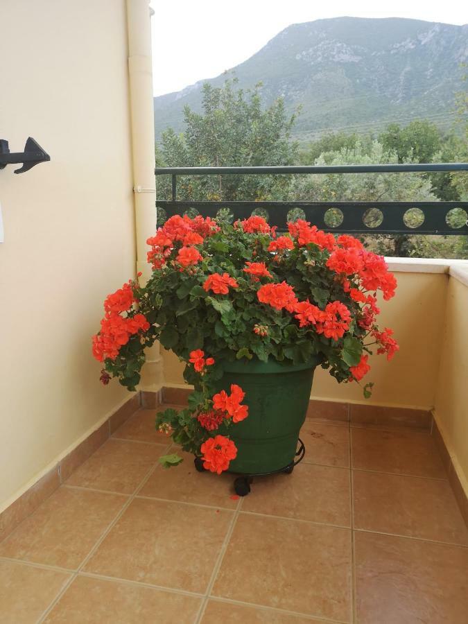 Hotel Patelis Poúlithra Dış mekan fotoğraf