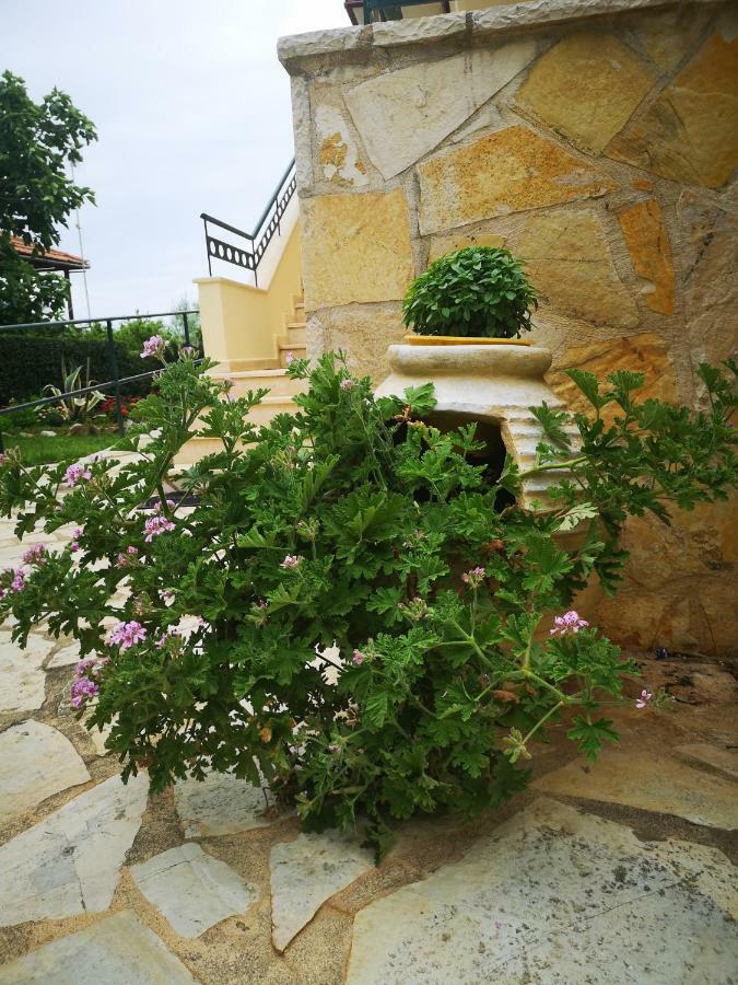 Hotel Patelis Poúlithra Dış mekan fotoğraf