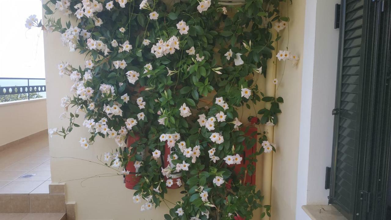 Hotel Patelis Poúlithra Dış mekan fotoğraf